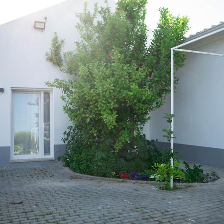 Alojamento Moinho D'Obidos Exterior photo